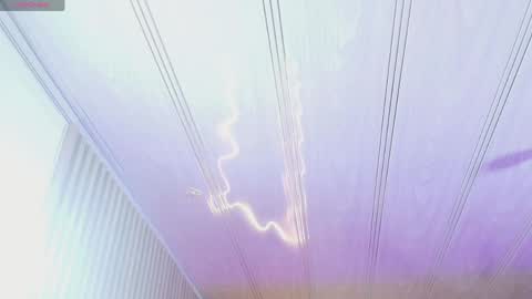 NEFTIS  online show from 05-11-26, 08:06