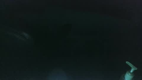 nelsonbucara online show from 03-08-25, 10:00