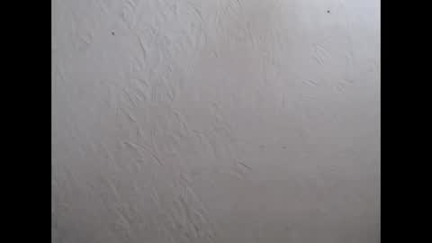 Nensy online show from 11-14-25, 07:45