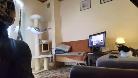 nessieanalemma online show from 02-24-26, 08:34