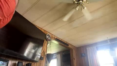 Snapshot of neversaynevrrr chatting on 11-01-25, 05:37 neversaynevrrr online show from 11-01-25, 05:37