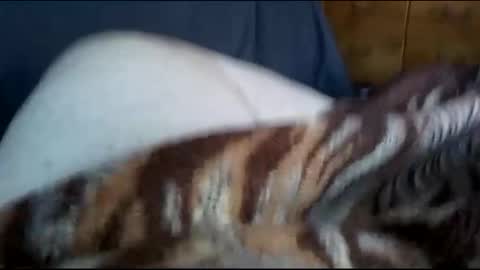 Snapshot of neverseentthatb4 chatting on 12-01-24, 07:36 Matt online show from 12-01-24, 07:36