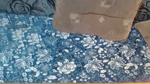 Lilly  online show from 12-01-25, 03:00