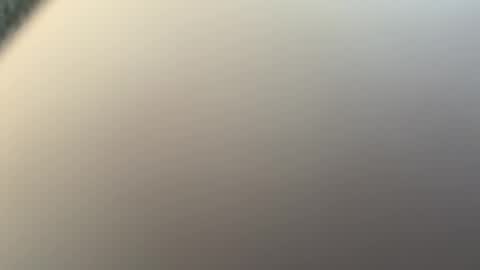 newjerseyhorny online show from 03-09-26, 03:38