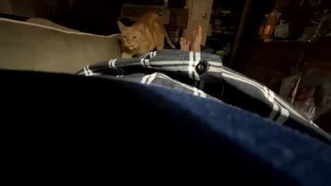 Snapshot of ngianop chatting on 10-23-25, 07:40 ngianop online show from 10-23-25, 07:40