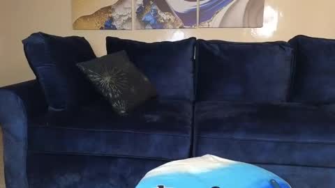 Snapshot of nicckah_ chatting on 12-21-24, 11:33 Lilly online show from 12-21-24, 11:33