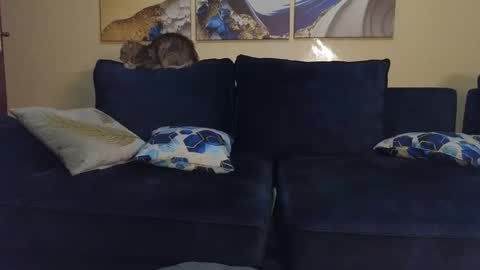 Snapshot of nicckah_ chatting on 02-22-25, 09:48 Lilly online show from 02-22-25, 09:48