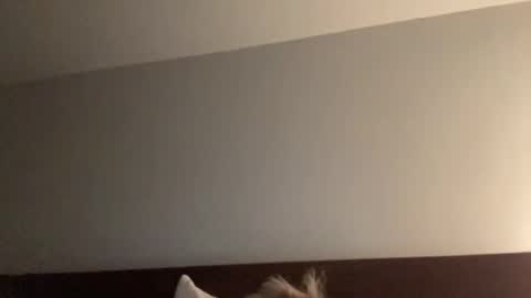 Nice Gentle Naughty online show from 12-13-24, 11:34