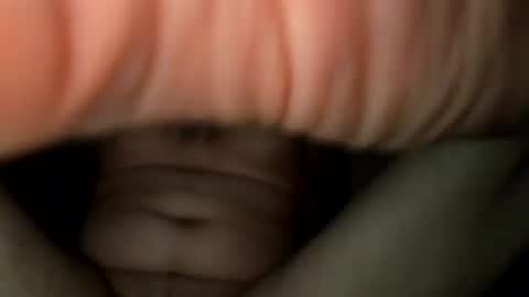 Snapshot of nicholasweber21 chatting on 10-18-25, 01:52 nicholasweber21 online show from 10-18-25, 01:52