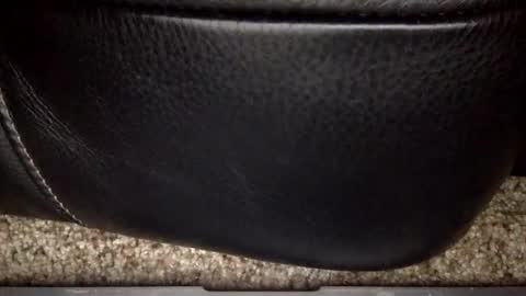 Snapshot of nick12989 chatting on 12-17-25, 06:19 nick12989 online show from 12-17-25, 06:19