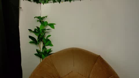 nicoleirisxxx online show from 04-15-26, 05:25