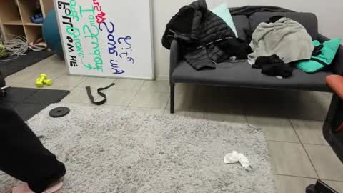 nikki online show from 04-23-26, 05:04