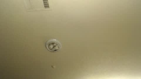 Snapshot of nikkimasters1091 chatting on 01-17-26, 02:22 Nikki Mastersgirl1091 online show from 01-17-26, 02:22