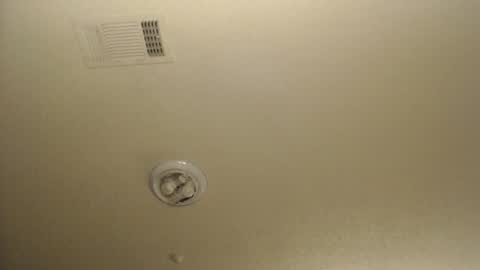 Snapshot of nikkimasters1091 chatting on 03-04-26, 01:50 Nikki Mastersgirl1091 online show from 03-04-26, 01:50