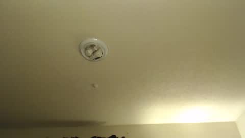 Snapshot of nikkimasters1091 chatting on 03-07-26, 03:58 Nikki Mastersgirl1091 online show from 03-07-26, 03:58