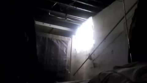 nillapuddin2 online show from 02-02-25, 02:24