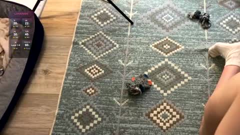 Snapshot of nimfaheart chatting on 12-02-24, 07:49 Jennet online show from 12-02-24, 07:49