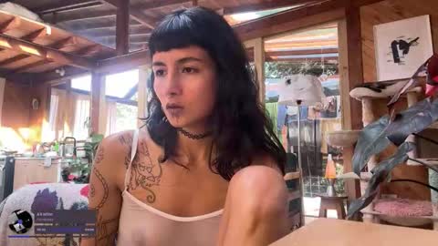 Nina.  online show from 11-30-25, 09:08