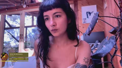 Snapshot of nina_just chatting on 05-11-26, 07:44 Nina. online show from 05-11-26, 07:44