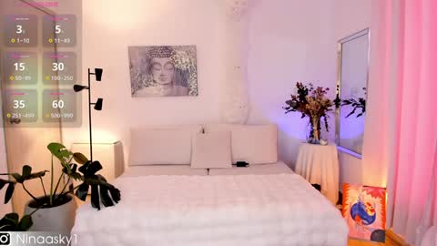 Snapshot of ninaa_sky chatting on 01-16-25, 01:04    online show from 01-16-25, 01:04