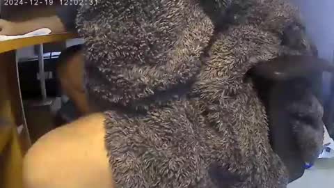 nineinchhard online show from 12-19-24, 12:01