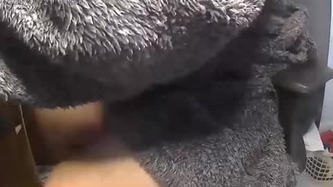 nineinchhard online show from 12-21-24, 11:55