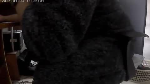 nineinchhard online show from 01-03-25, 11:25