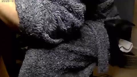 nineinchhard online show from 01-06-25, 06:47