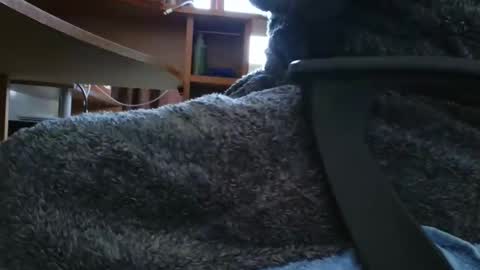 nineinchhard online show from 03-06-25, 10:20