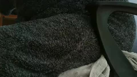 nineinchhard online show from 10-12-25, 11:09