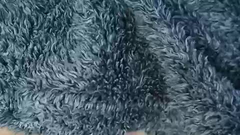 nineinchhard online show from 02-19-26, 10:55