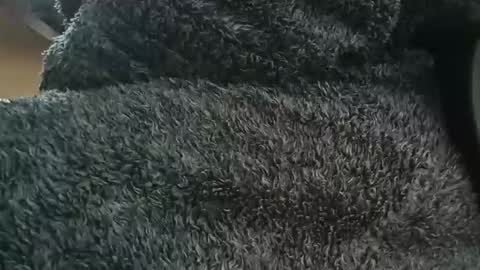 nineinchhard online show from 04-01-26, 10:38