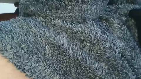 nineinchhard online show from 04-06-26, 01:01