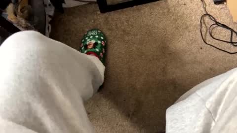 nipplelover69143 online show from 12-17-24, 04:32