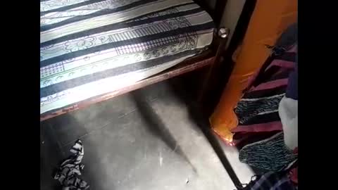 Nisha online show from 03-08-25, 03:17