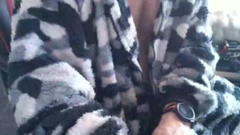 Boingyyyy online show from 12-14-25, 02:44