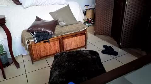 Snapshot of nobudget06 chatting on 02-25-25, 11:00 nobudget06 online show from 02-25-25, 11:00