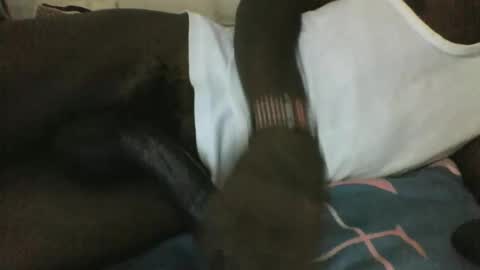 Snapshot of noella1234 chatting on 03-29-26, 11:16 noella1234 online show from 03-29-26, 11:16