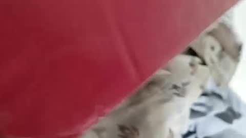 Snapshot of nooby942461 chatting on 01-04-25, 05:16 sim nib online show from 01-04-25, 05:16