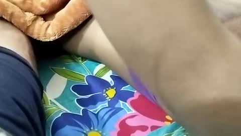 Snapshot of nooby942461 chatting on 01-09-25, 08:44 sim nib online show from 01-09-25, 08:44