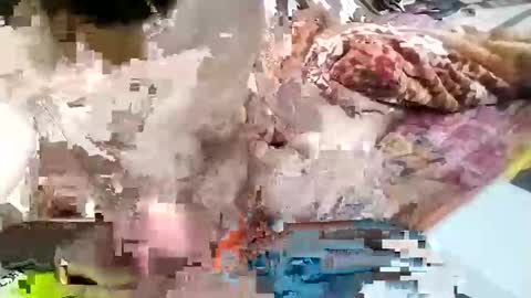 Snapshot of nooby942461 chatting on 01-26-25, 09:29 sim nib online show from 01-26-25, 09:29