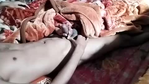 Snapshot of nooby942461 chatting on 01-28-25, 06:38 sim nib online show from 01-28-25, 06:38