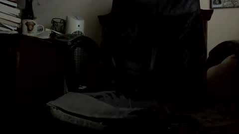 Snapshot of nothingclever1003 chatting on 11-04-25, 07:57 nothingclever1003 online show from 11-04-25, 07:57