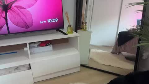 Snapshot of novamills chatting on 02-03-26, 12:09 Nova Mills online show from 02-03-26, 12:09