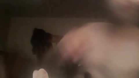 novasocia online show from 09-23-25, 04:26