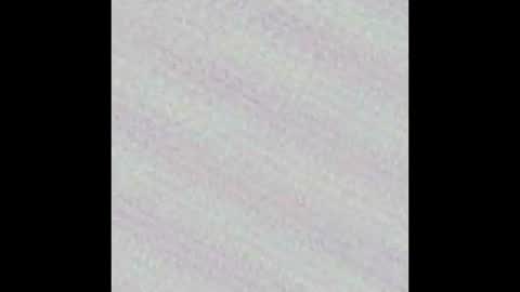 Snapshot of novinholl22 chatting on 03-09-26, 02:26 Novinhoo online show from 03-09-26, 02:26