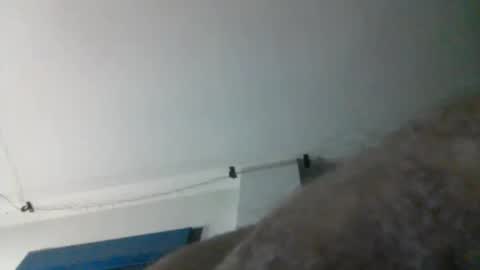 nqbzawcgchyk online show from 03-13-26, 02:29