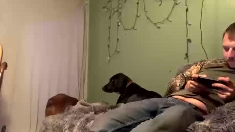 Snapshot of nsy57528 chatting on 10-19-25, 12:00 nsy57528 online show from 10-19-25, 12:00