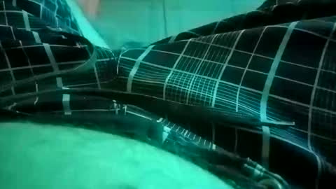 NuttyProfesir online show from 04-04-26, 01:19