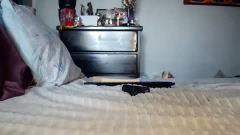 KN online show from 04-24-26, 08:11